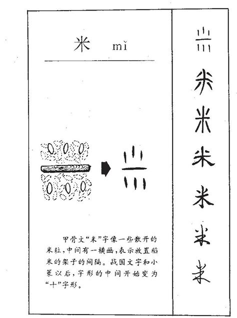 米五行属什么